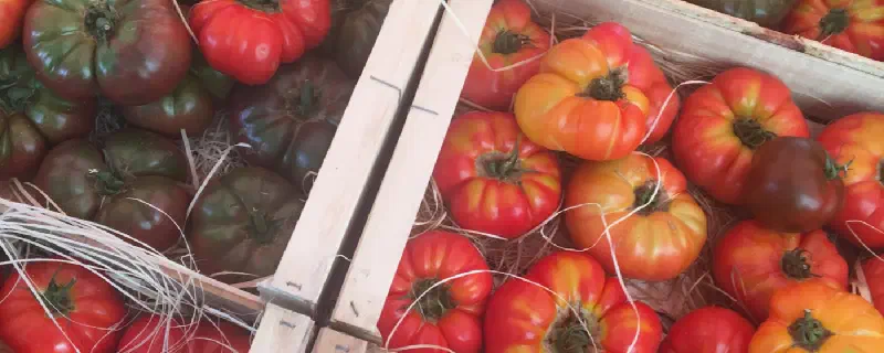 Puttanesca