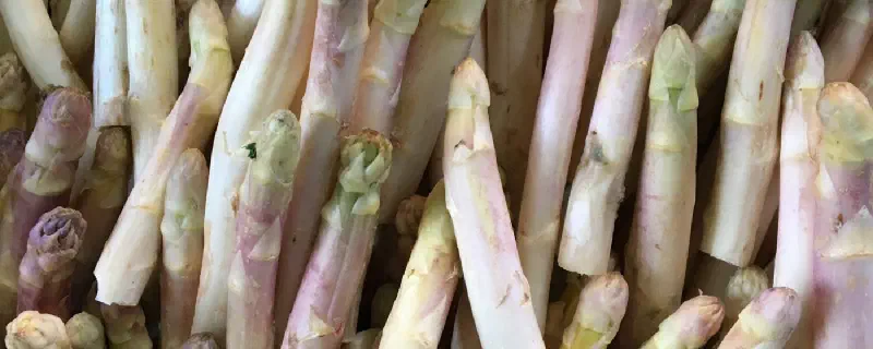 Caldo Verde